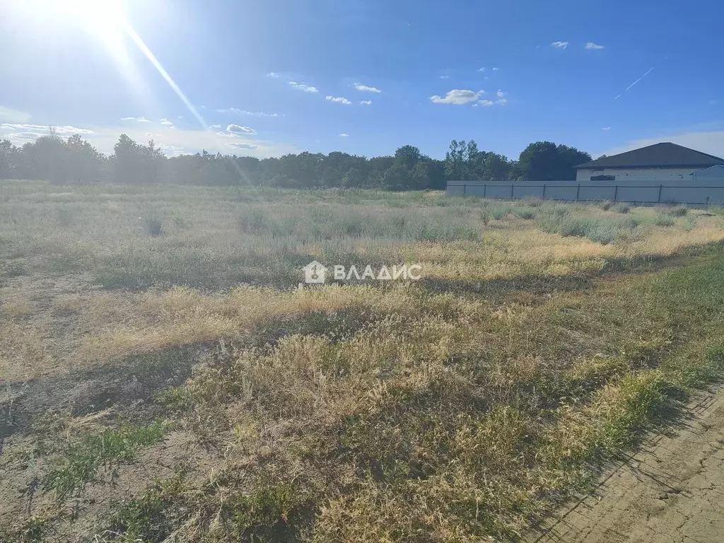 Участок в Волгоградская область, Краснослободск Среднеахтубинский ... - Фото 2