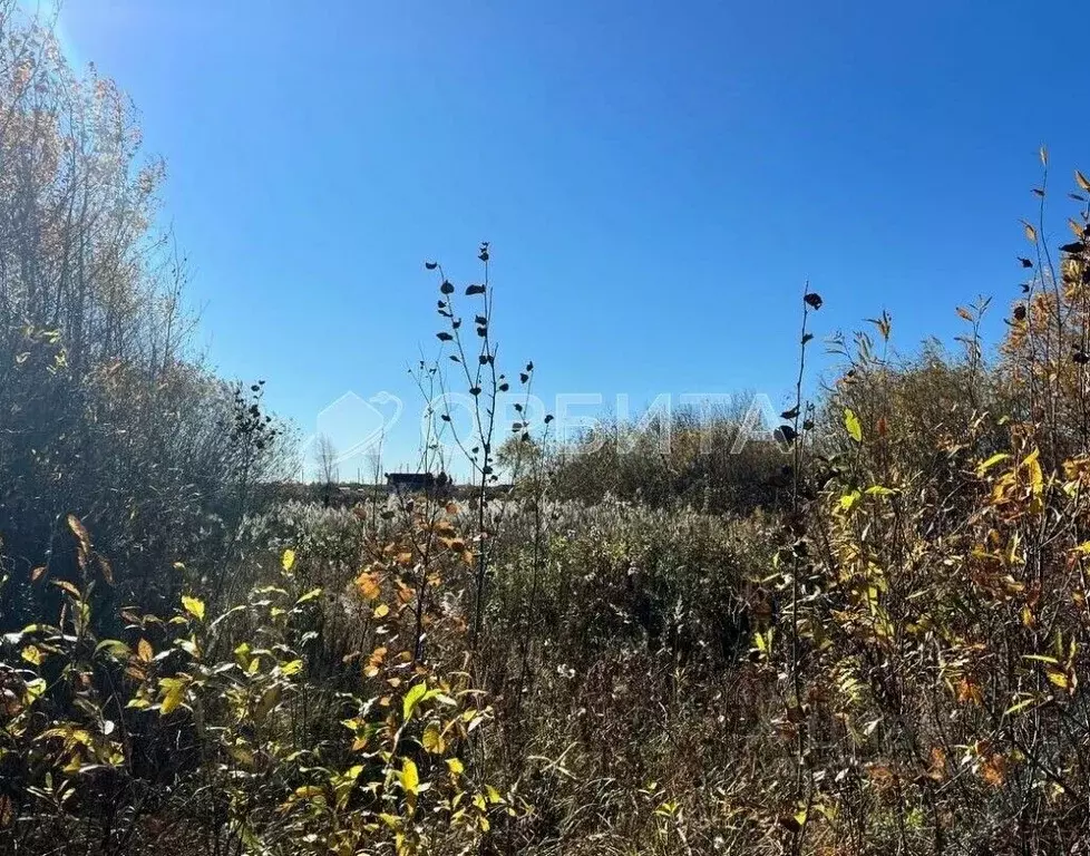 Участок в Тюменская область, Тюмень Царево садовое товарищество, ул. ... - Фото 2