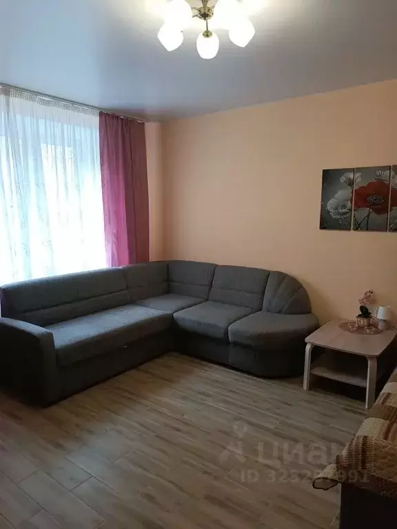 1-к кв. Псковская область, Псков Красноармейская ул., 4 (45.0 м) - Фото 2