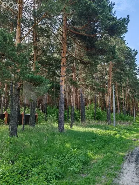 Дом в Нижнетавдинский район, село Иска (74 м) - Фото 0