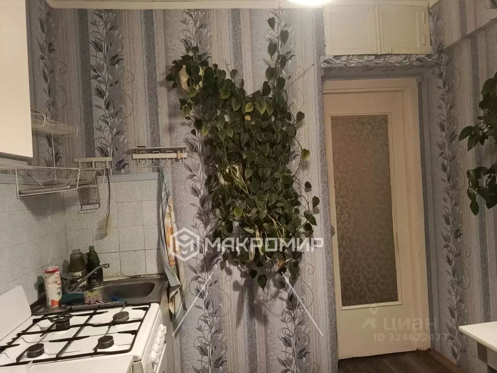 1-к кв. Брянская область, Брянск ул. Рылеева, 9 (31.5 м) - Фото 2