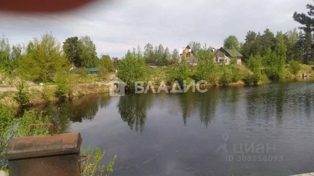 Участок в Ленинградская область, Всеволожский район, Рахьинское ... - Фото 1