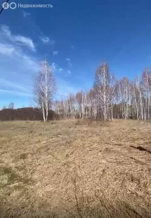 Участок в Новосибирская область, Коченёвский муниципальный район, ДНТ ... - Фото 0