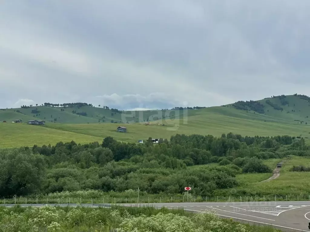 Участок в Алтайский край, Алтайский район, Жемчужина Алтая ДНТ  (9.6 ... - Фото 2