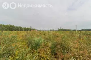 Участок в Омск (10 м) - Фото 1