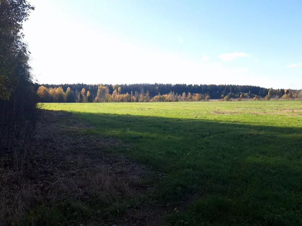 Участок, 427 сот., сельхоз (снт или днп) - Фото 1
