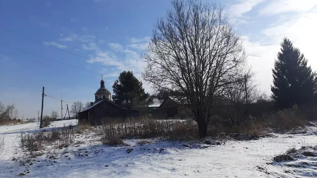 Участок в Владимирская область, Судогодский район, Муромцевское ... - Фото 0