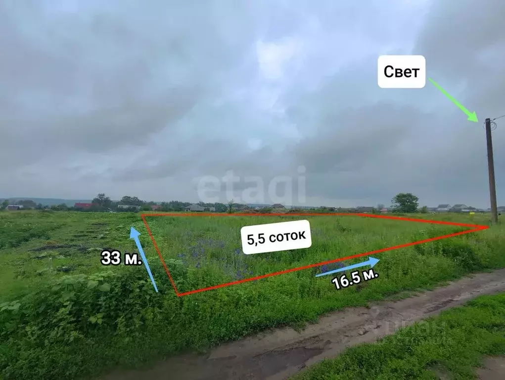 Участок в Саратовская область, Балашовский район, с. Репное ... - Фото 1