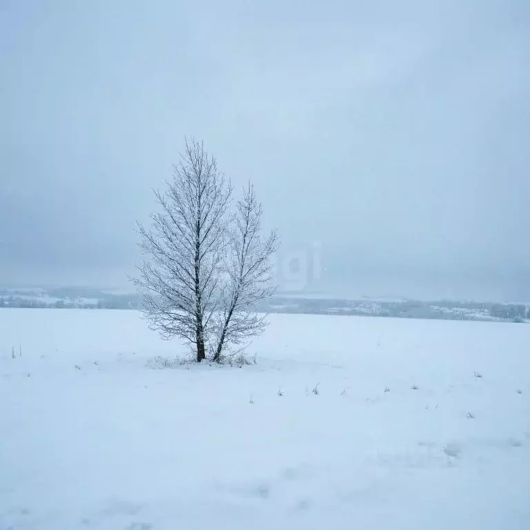 Участок в Тульская область, Донской Задонье мкр, Трудовая ул. (16.0 ... - Фото 1