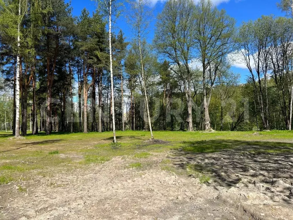 Участок в Санкт-Петербург дор. Муринская (200.0 сот.) - Фото 1