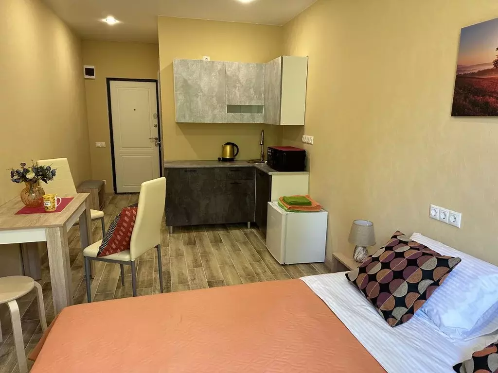 Студия Краснодарский край, Сочи Сухумское ш., 29Б (20.0 м) - Фото 2