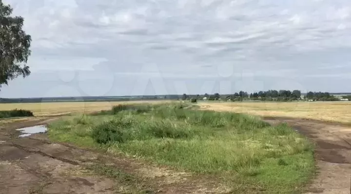 Участок 88га (СНТ, ДНП) - Фото 1