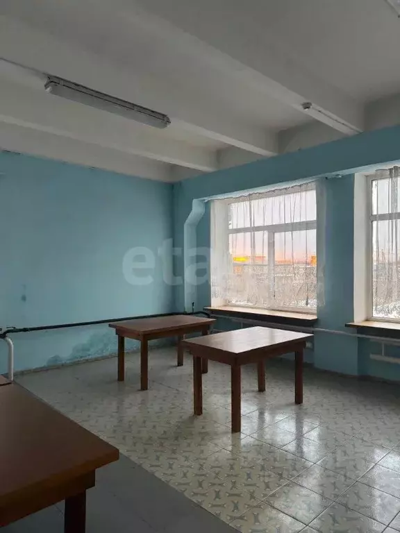 Офис в Псковская область, Псков ул. Леона Поземского, 125 (42 м) - Фото 2