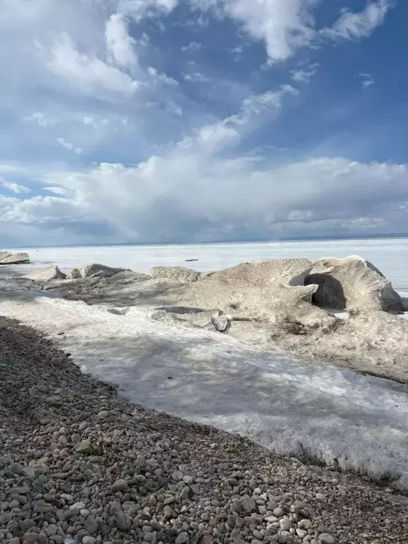 Участок в Бурятия, Кабанский район, с. Заречье Садовая ул., 21 (10.0 ... - Фото 1