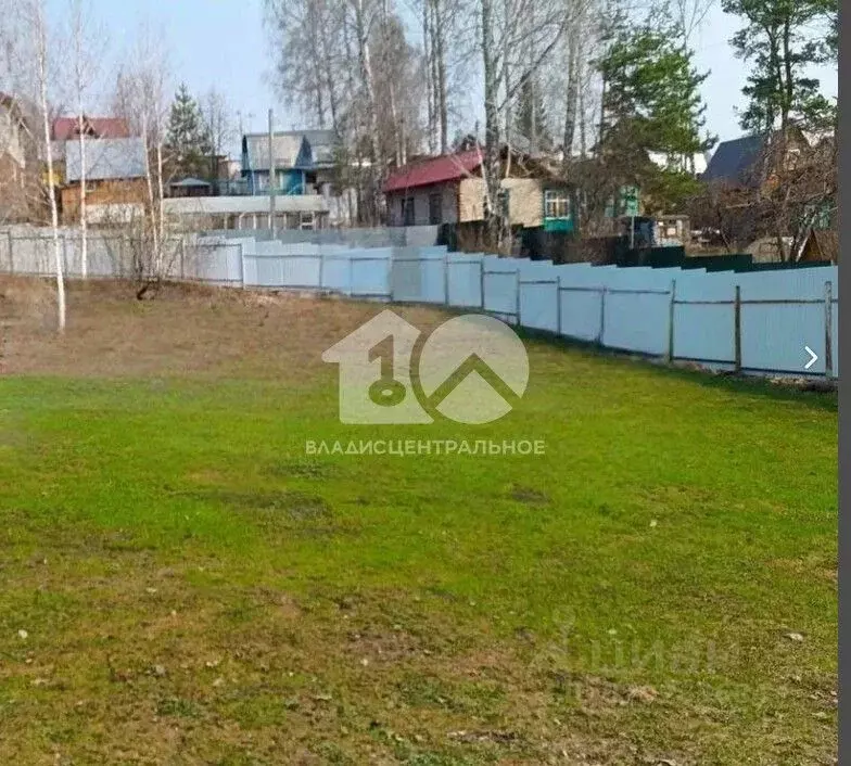 Участок в Новосибирская область, Новосибирский район, с. Толмачево  ... - Фото 1