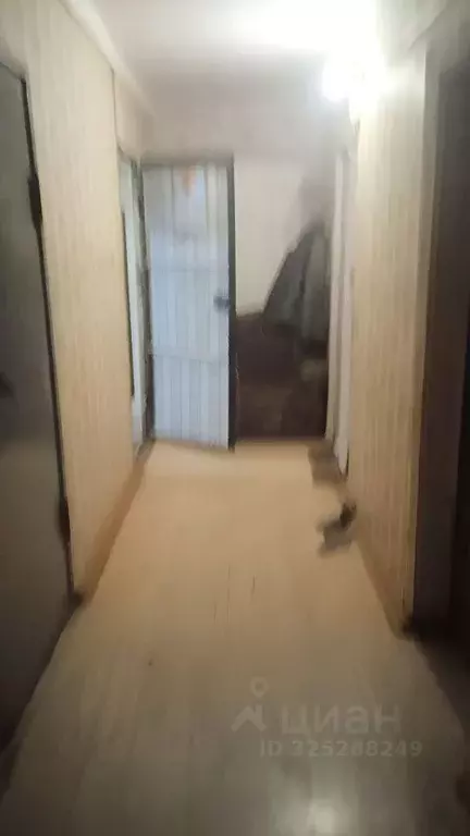 Комната Иркутская область, Усолье-Сибирское ул. Коростова, 25 (19.0 м) - Фото 2