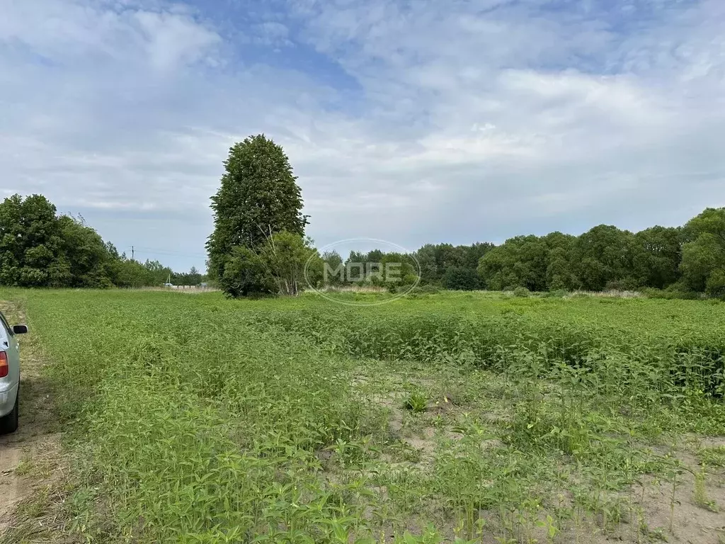 Участок в Калининградская область, Гвардейский муниципальный округ, ... - Фото 1