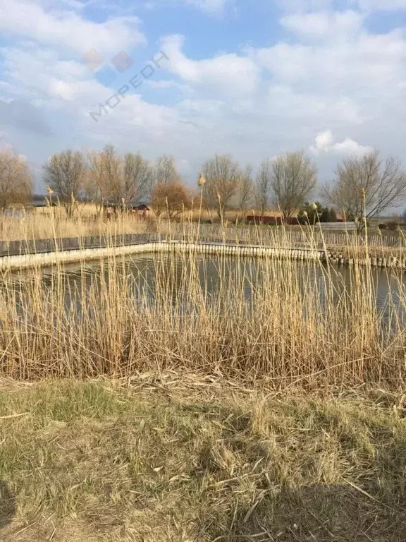 Участок в Краснодарский край, Ленинградский муниципальный округ, ... - Фото 0