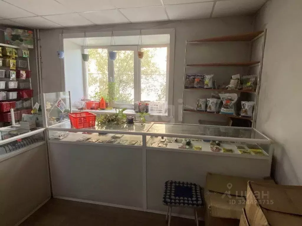 Торговая площадь в Бурятия, Улан-Удэ ул. Терешковой, 20 (31 м) - Фото 1