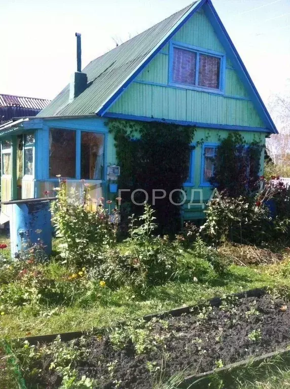 Участок в Новосибирская область, Тогучинский район, Сигнал садовое ... - Фото 1