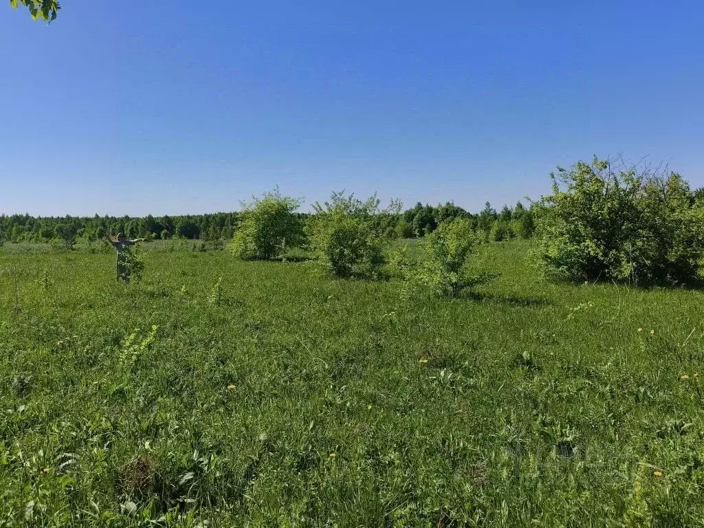 Участок в Нижегородская область, Богородский муниципальный округ, ... - Фото 2