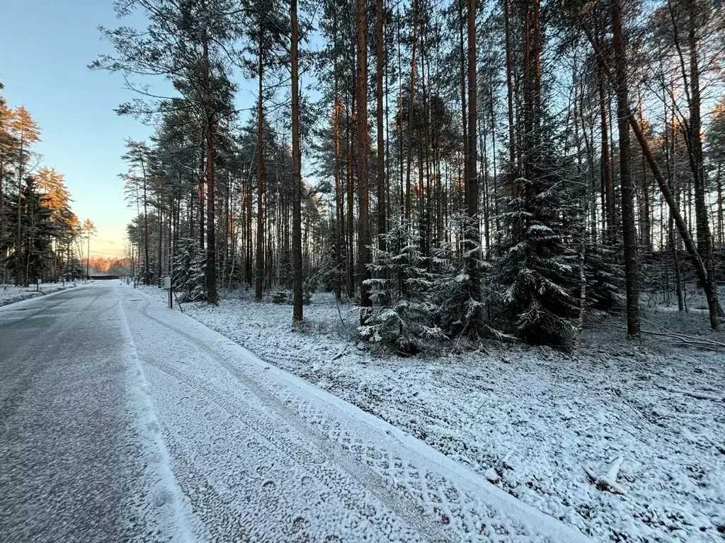 Участок в Ленинградская область, Всеволожский район, Бугровское ... - Фото 1