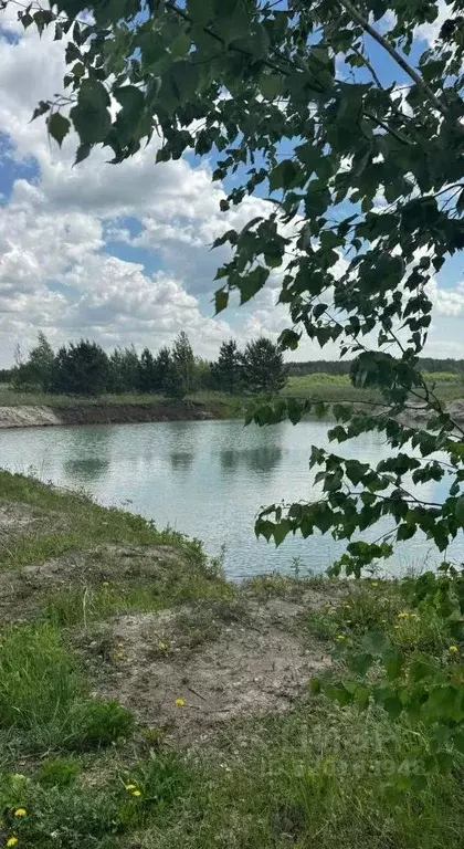 Участок в Тюменская область, Тюменский район, Новокаменский кп  (18.7 ... - Фото 0