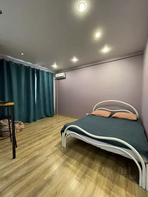 Студия Московская область, Богородский городской округ, д. Щемилово ... - Фото 1