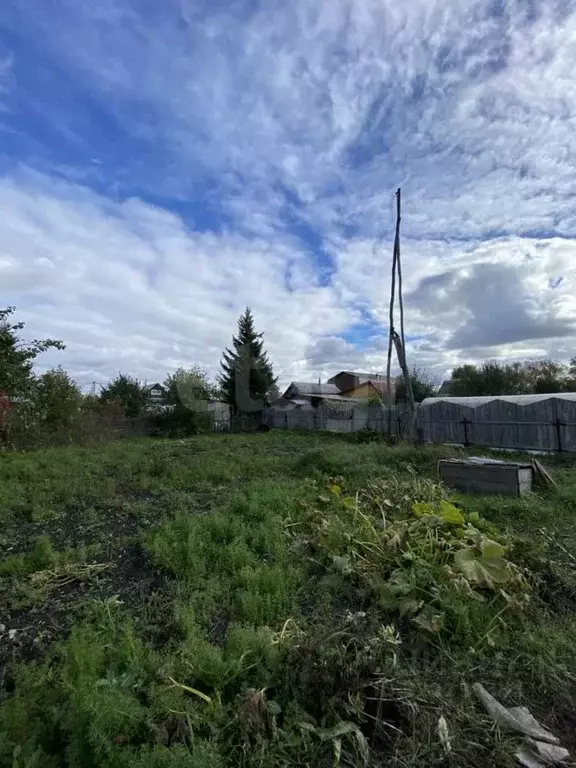 Участок в Тюменская область, Тюмень Садовое товарищество Липовый ... - Фото 1