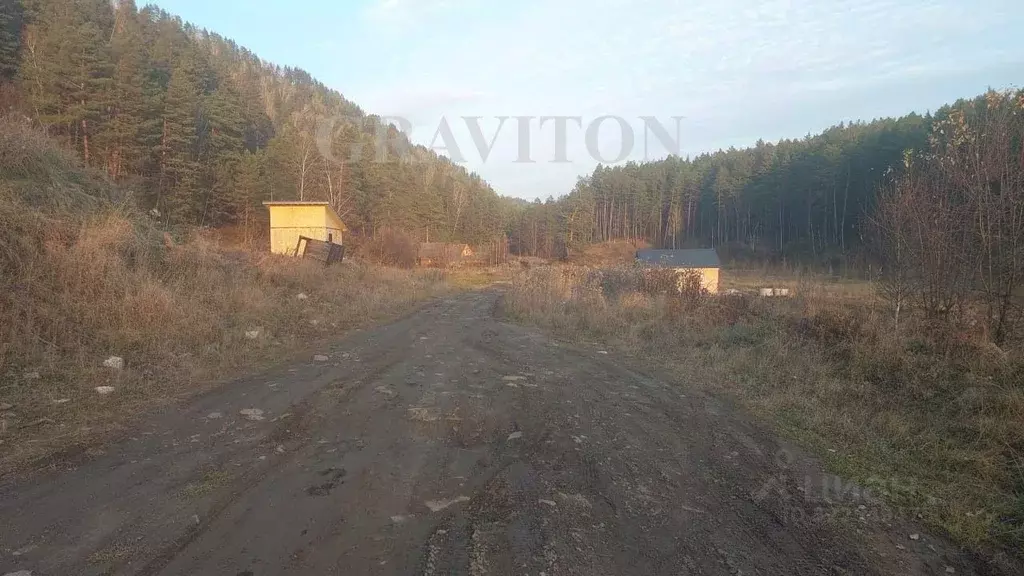 Участок в Алтай, Майминский район, с. Манжерок Манжерокская ул. (10.0 ... - Фото 1