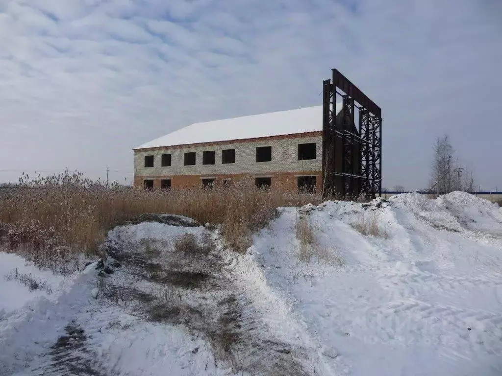 Помещение свободного назначения в Новосибирская область, Татарск ... - Фото 2