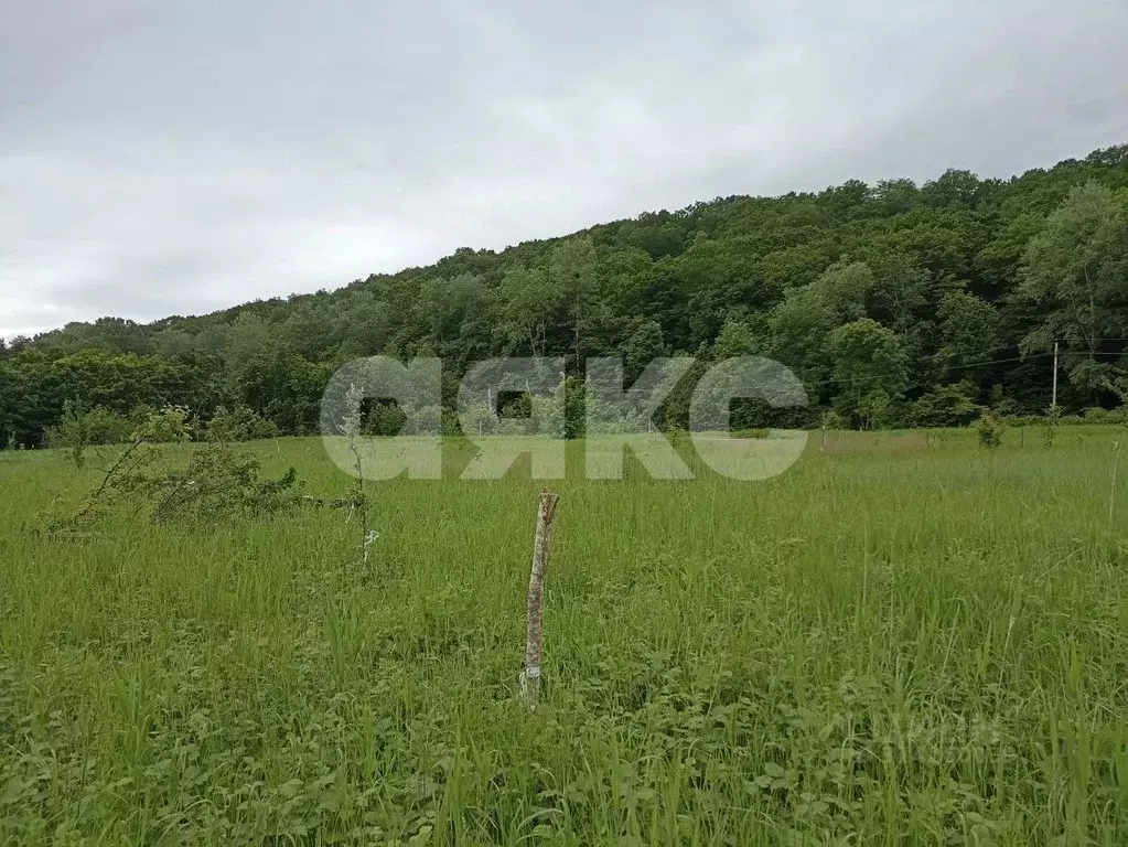 Участок в Краснодарский край, Горячий Ключ муниципальный округ, с. ... - Фото 2