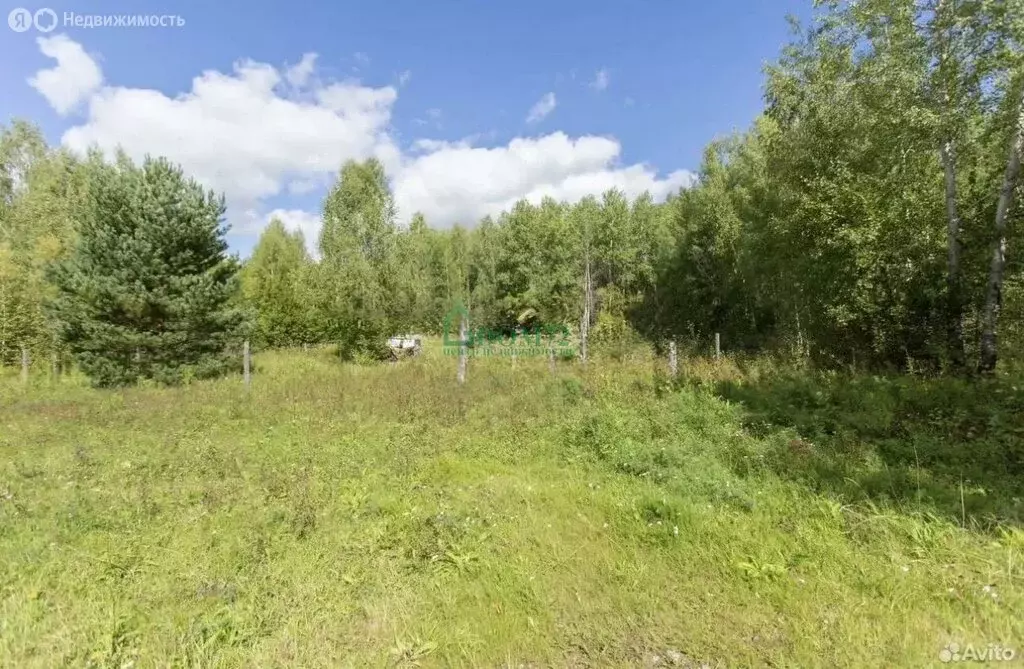 Участок в Тобольск, микрорайон Усадьба (8.9 м) - Фото 2