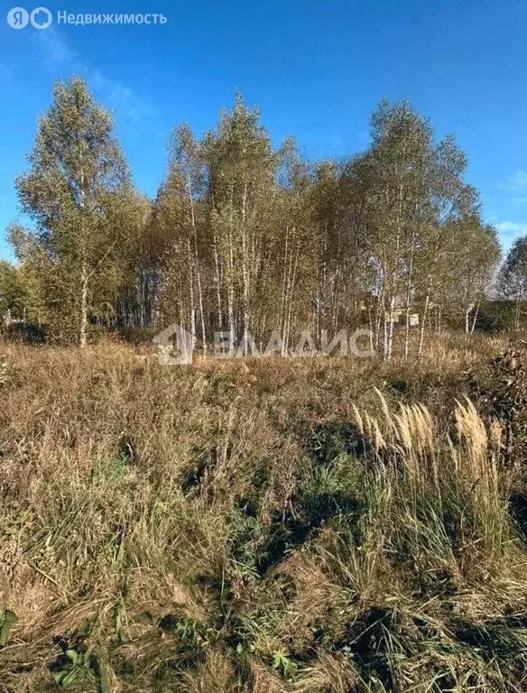 Участок в Ковровский район, муниципальное образование Малыгинское, ... - Фото 1