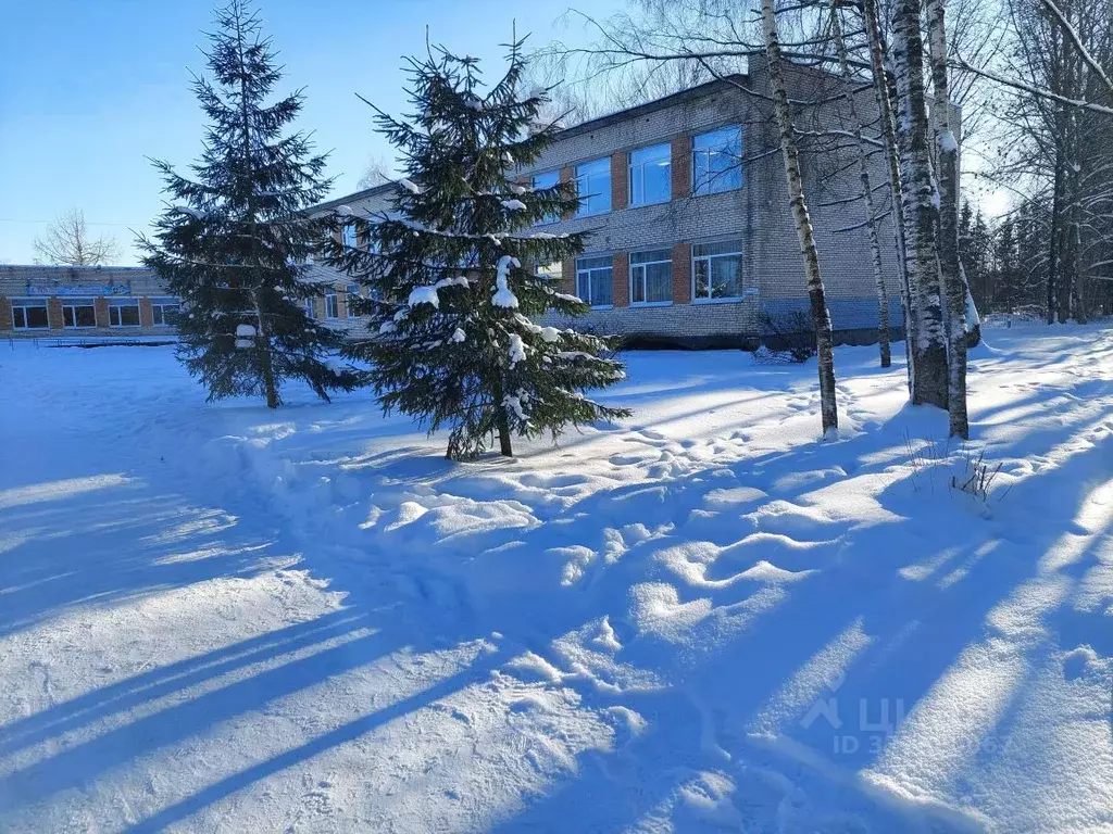 1-к кв. Ленинградская область, Гатчинский муниципальный округ, д. ... - Фото 1