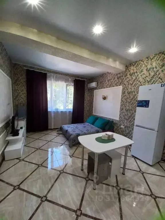 Студия Краснодарский край, Сочи ул. Ручей Видный, 55 (28.0 м) - Фото 0
