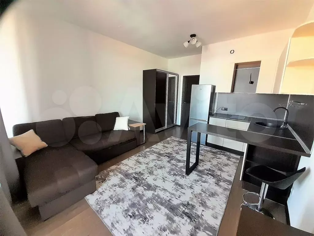 Квартира-студия, 24,2 м, 12/12 эт. - Фото 0