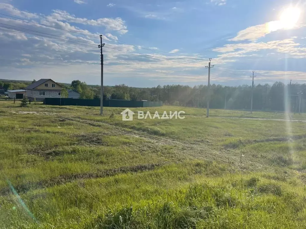 Участок в Пензенская область, Бессоновский район, Сосновский ... - Фото 1