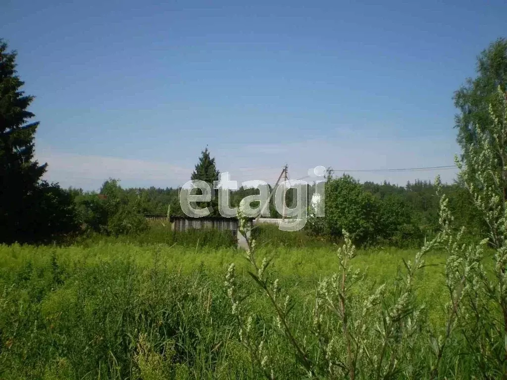 Участок в Вологодская область, д. Кулаково 5 (7.33 сот.) - Фото 1