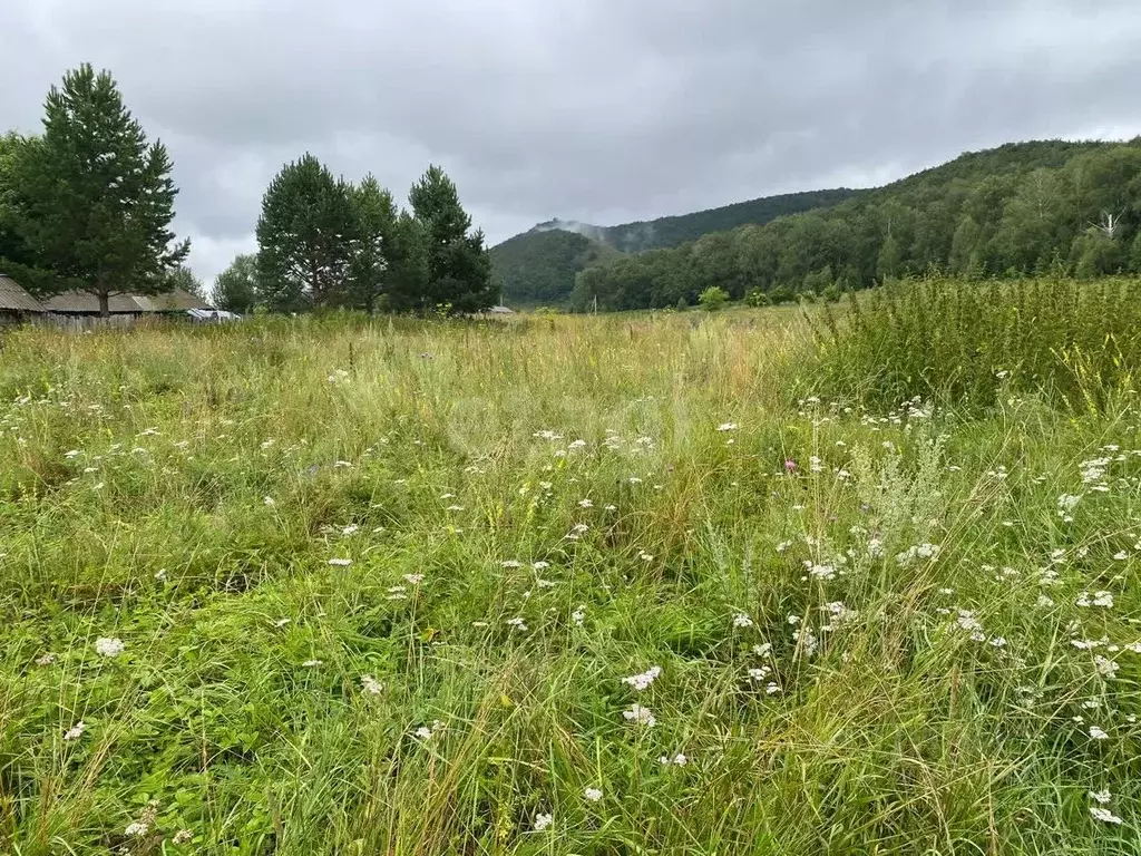 Участок в Башкортостан, Ишимбайский район, Макаровский сельсовет, д. ... - Фото 1