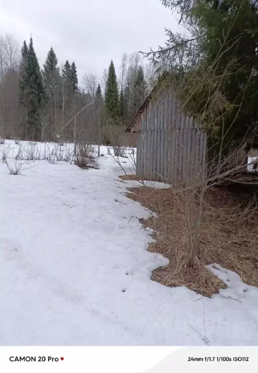 Участок в Кировская область, Юрьянский район, Загарское с/пос, ... - Фото 2