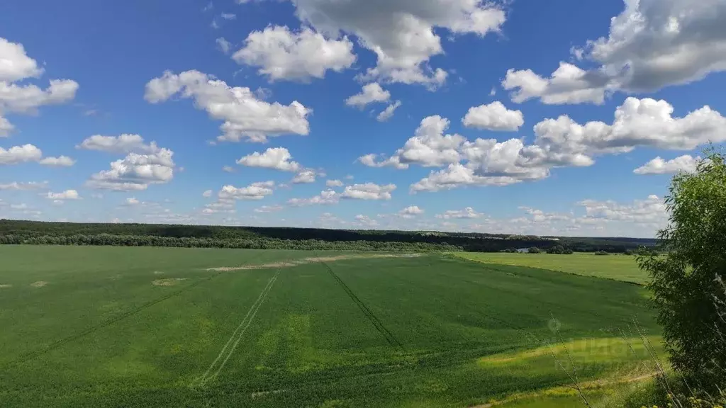 Участок в Калужская область, Калуга Московская ул. (75.0 сот.) - Фото 2