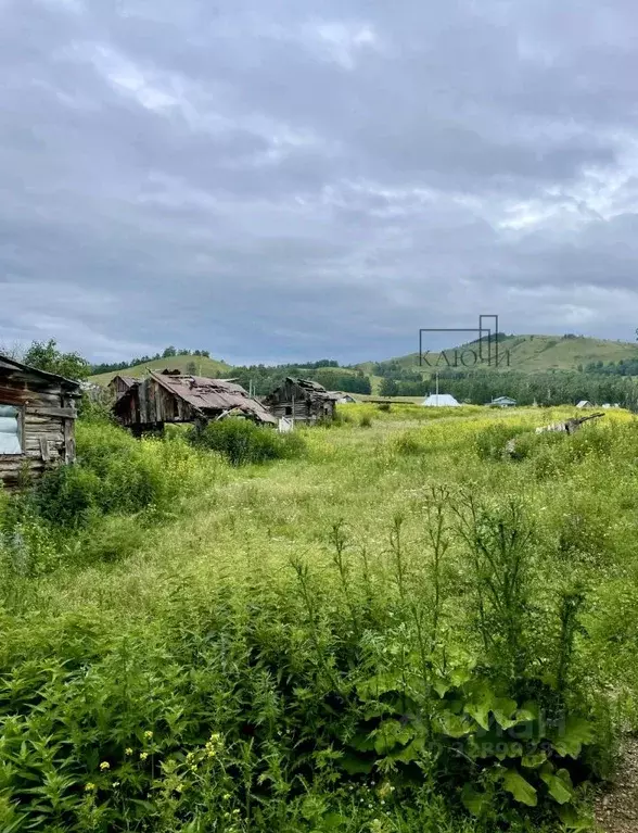 Участок в Башкортостан, Абзелиловский район, Ташбулатовский сельсовет, ... - Фото 1