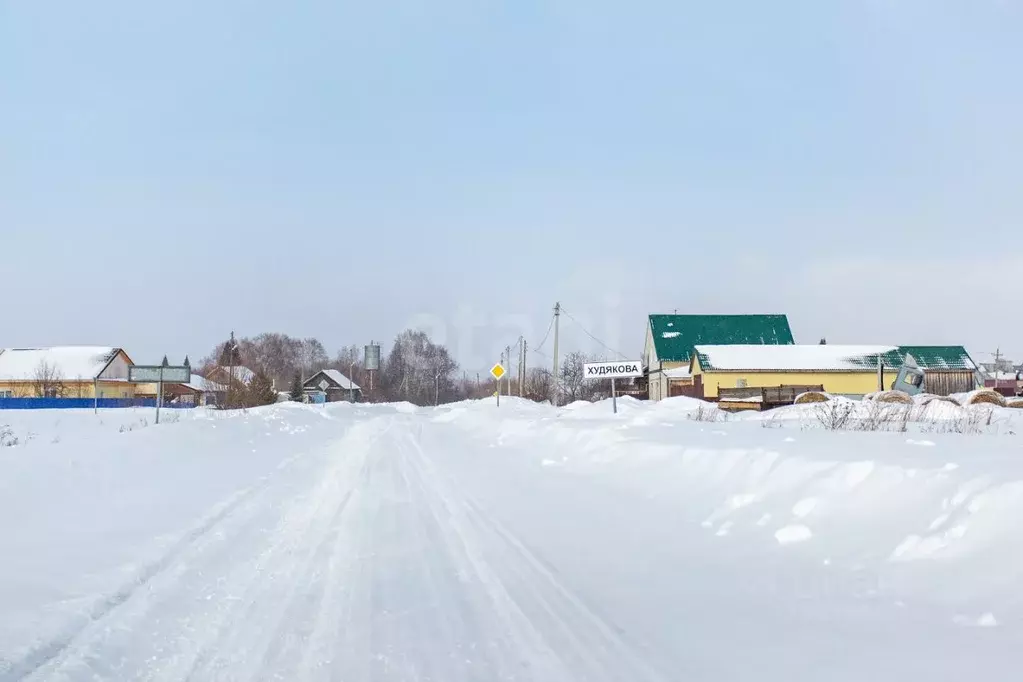Участок в Тюменская область, Тобольский муниципальный округ, ... - Фото 2