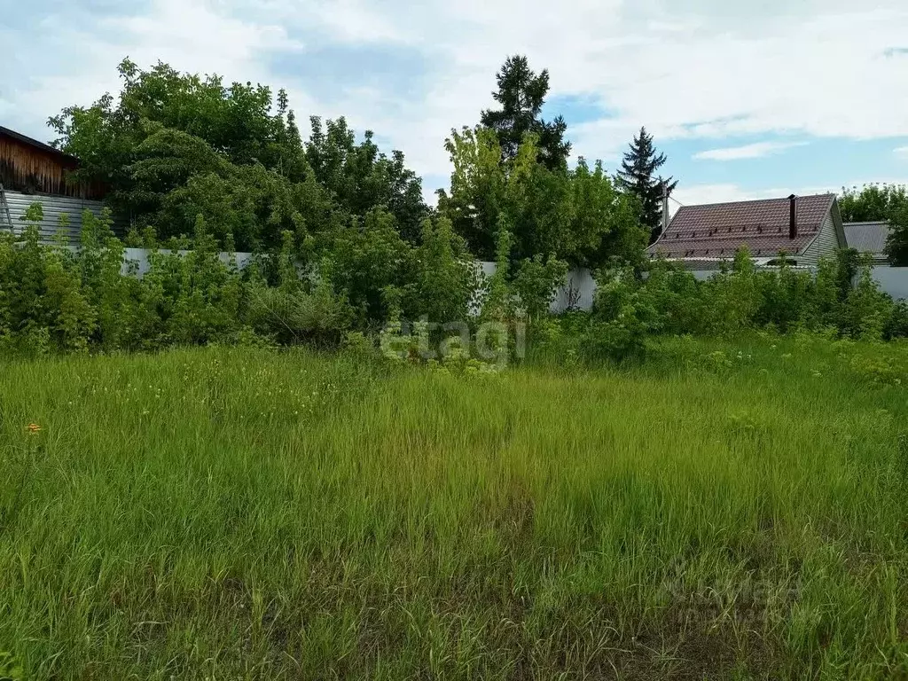 Участок в Воронежская область, Борисоглебск Матросовская ул. (7.4 ... - Фото 1