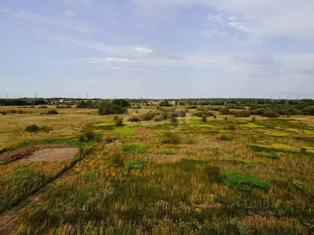 Участок в Калининградская область, Гурьевский муниципальный округ, ... - Фото 2