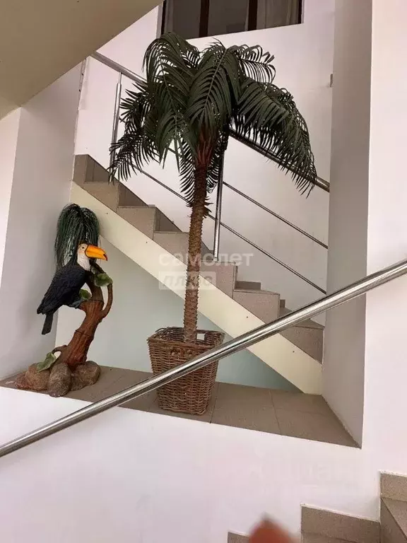 Помещение свободного назначения в Калмыкия, Элиста ул. Максима ... - Фото 2