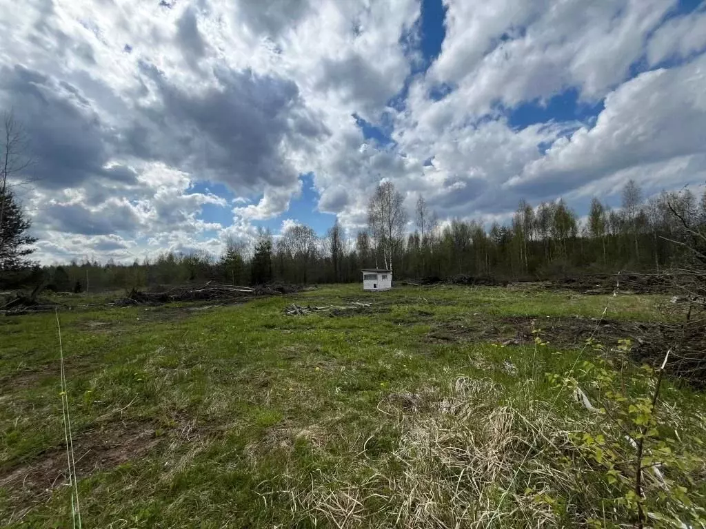 Участок в Ленинградская область, Тосненское городское поселение, д. ... - Фото 1