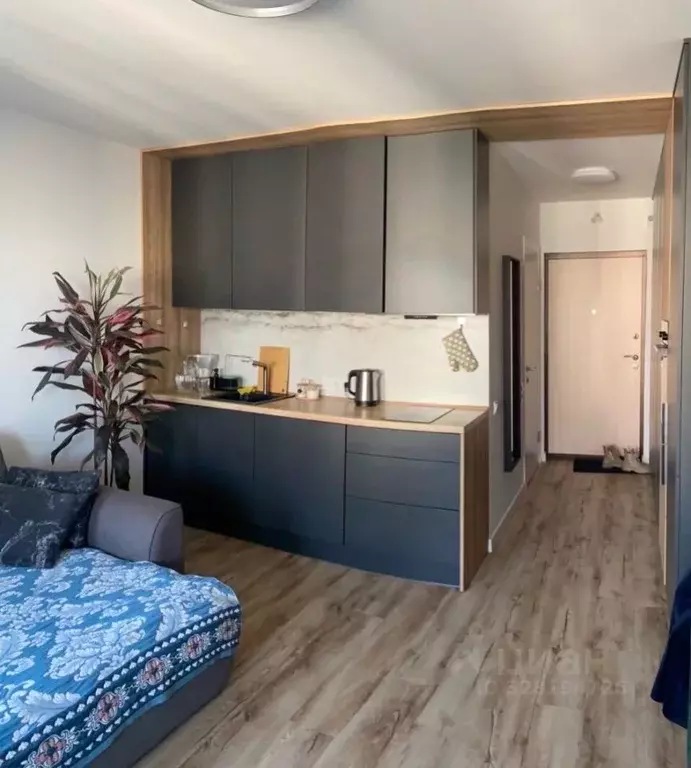 Студия Ленинградская область, Ломоносовский район, Виллозское ... - Фото 2