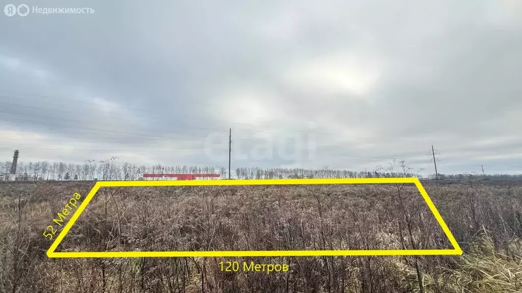 Участок в Брянский район, Добрунское сельское поселение, деревня ... - Фото 2